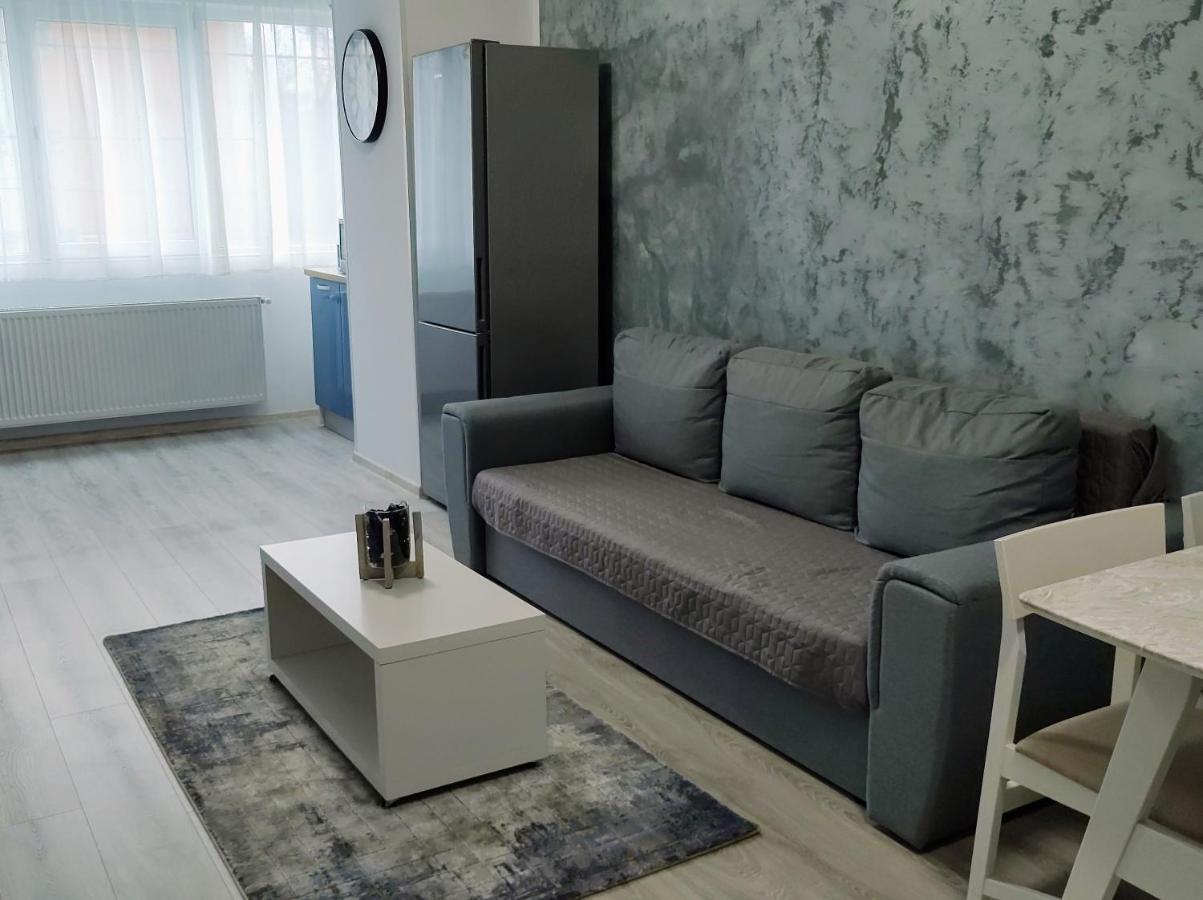 Simona Apartament Iulius Mall Daire Yaş Dış mekan fotoğraf